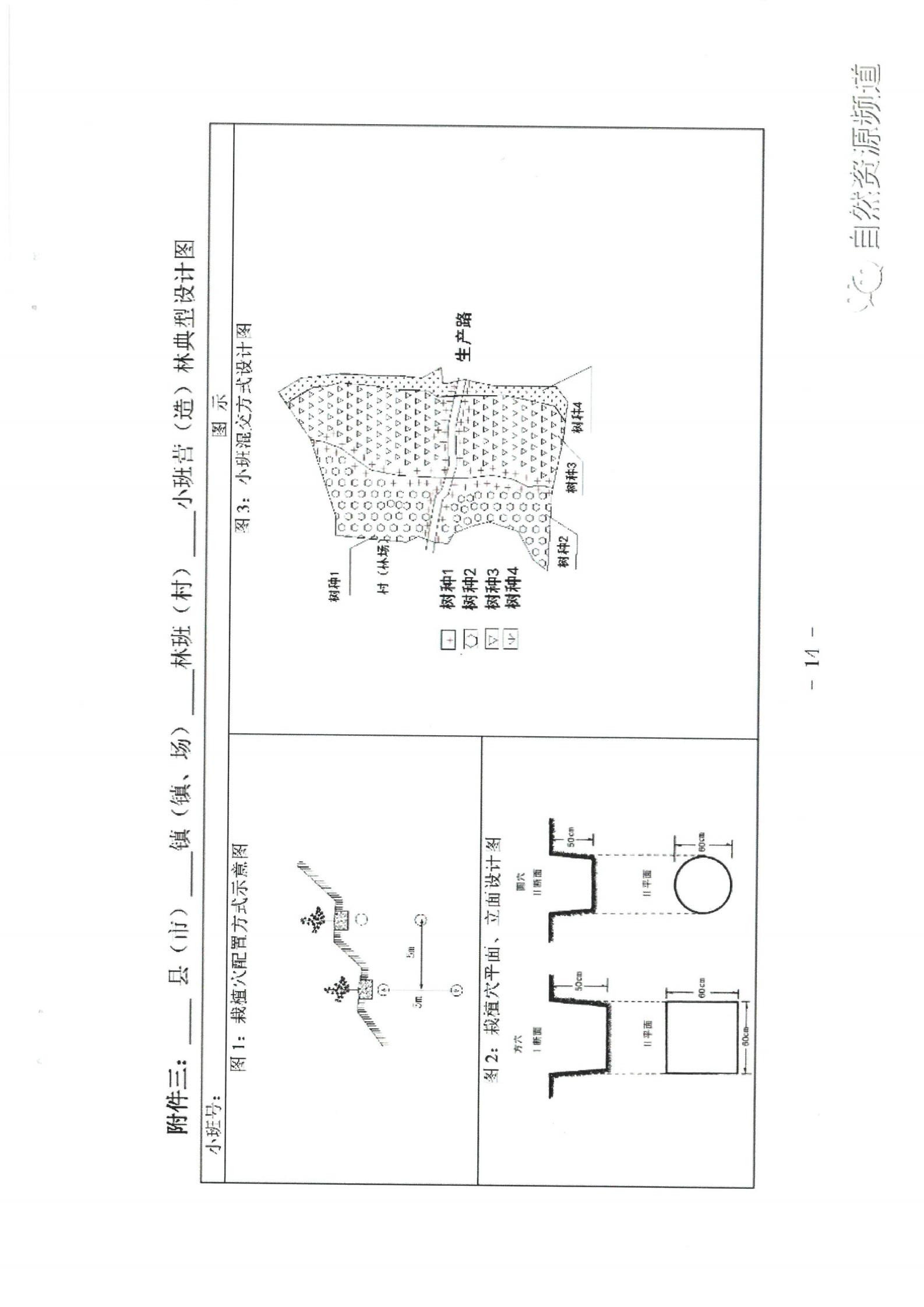 國(guó)家儲(chǔ)備林基地建設(shè)年度施工作業(yè)設(shè)計(jì)管理辦法（試行）_12.jpg